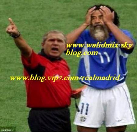 sedam vs bush