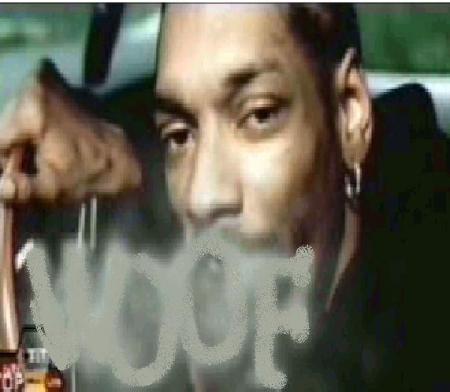 snoop doggy dogg