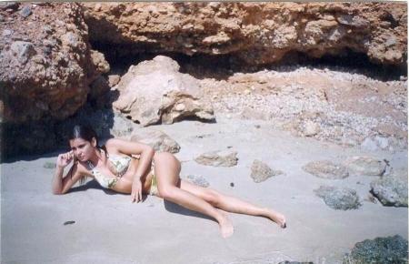 zorra chopa