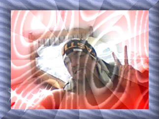 vive jeventus l